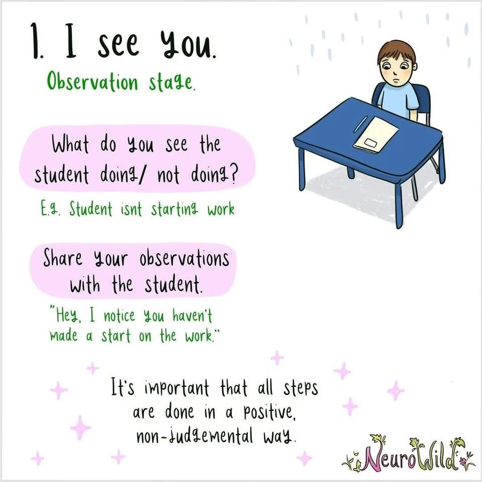 NeuroWild Shift step 1, I see you: the observation stage