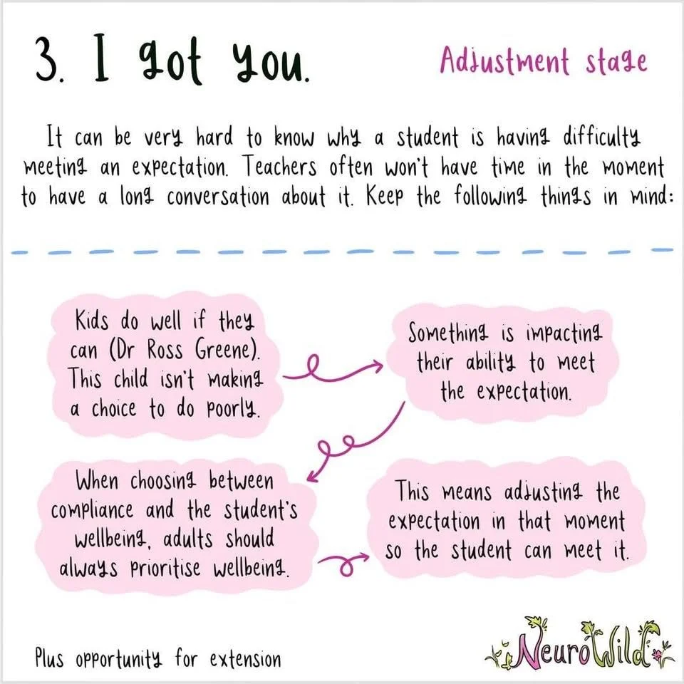 NeuroWild Shift step 3, I got you: the adjustment stage