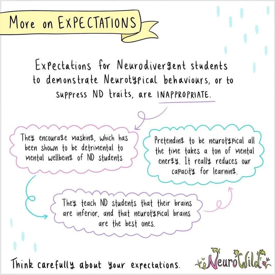 NeuroWild illustration: more on expectations for neurodivergent students